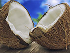 Coconuts